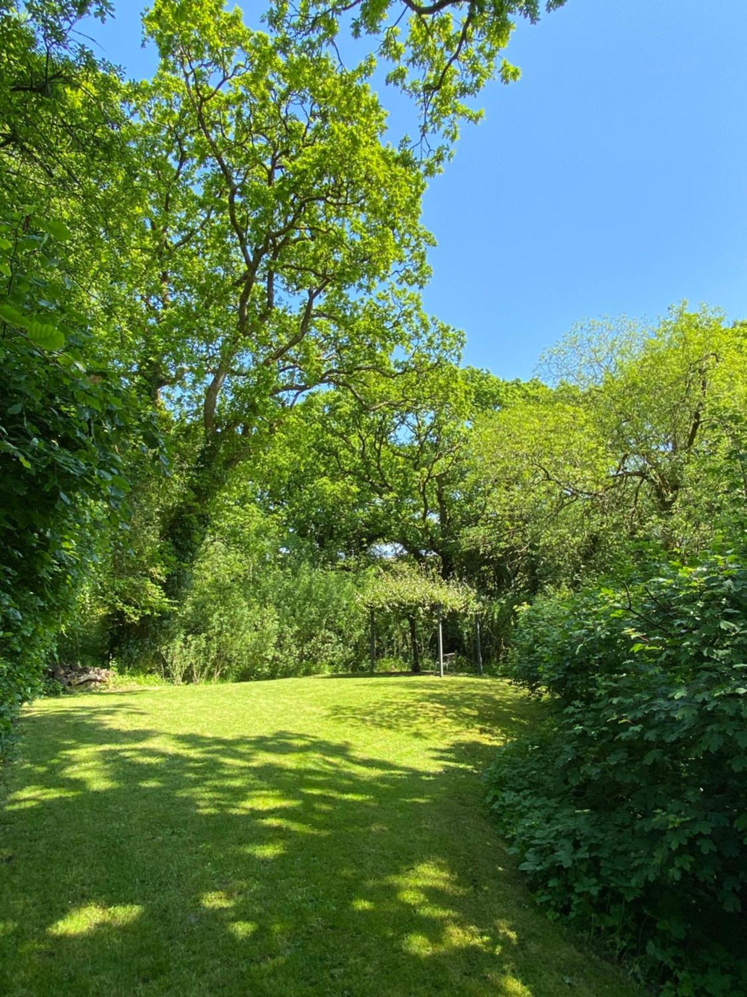 Petrock Holiday Cottages Newton Saint Petrock Oda fotoğraf
